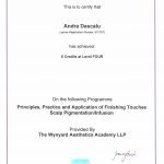 Scalp Micropigmentation Micropigmentare Scalp